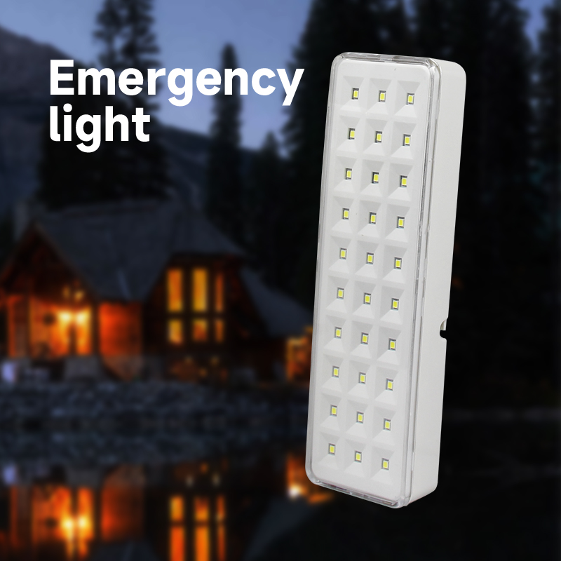 2 Modes Dimmable Rechargeable  - Power Outage Light 评论和价格